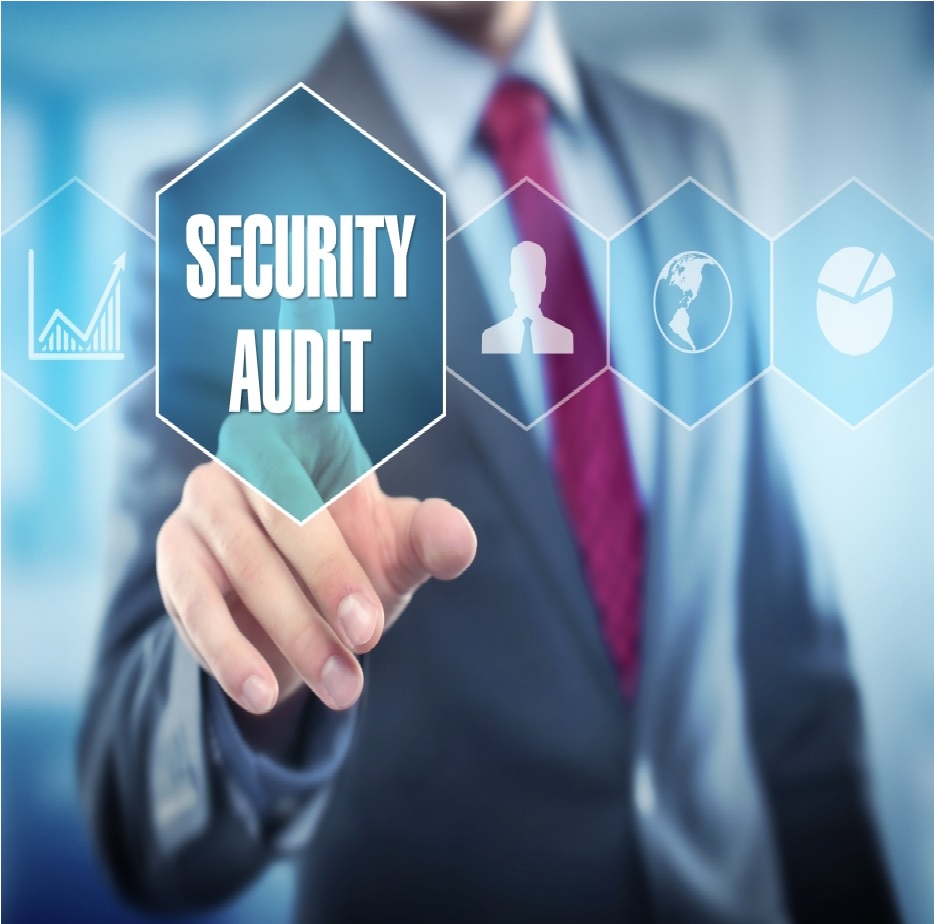 security_audit